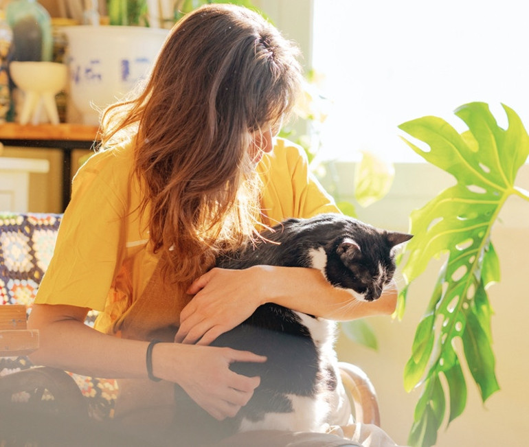 İsmiyle müsamma kediler