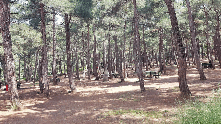 ‘Tavşanın suyunun suyu’ ve Atatürk Kent Ormanı