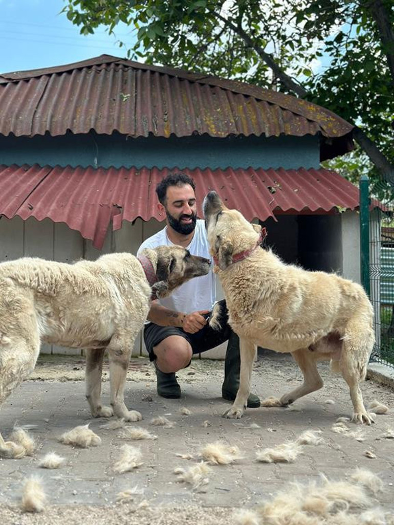 Hayvanlara ‘can suyu olun