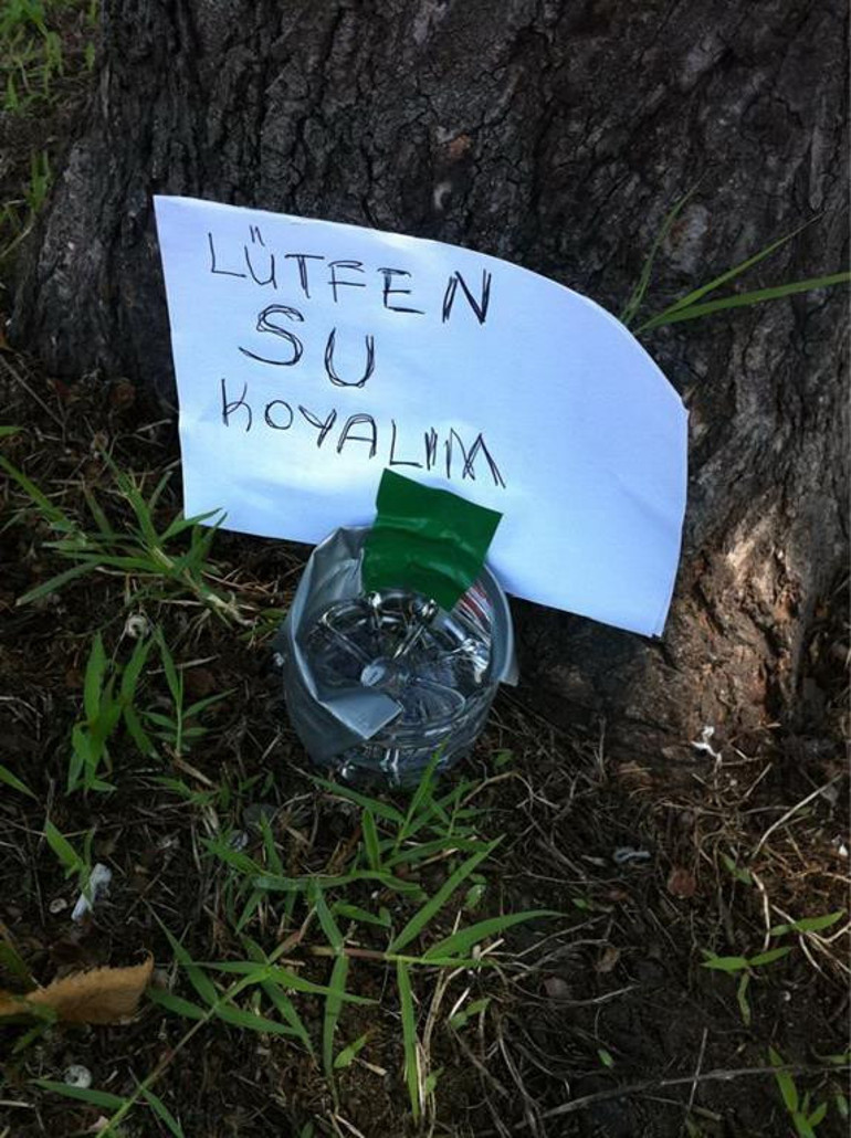 Hayvanlara ‘can suyu olun