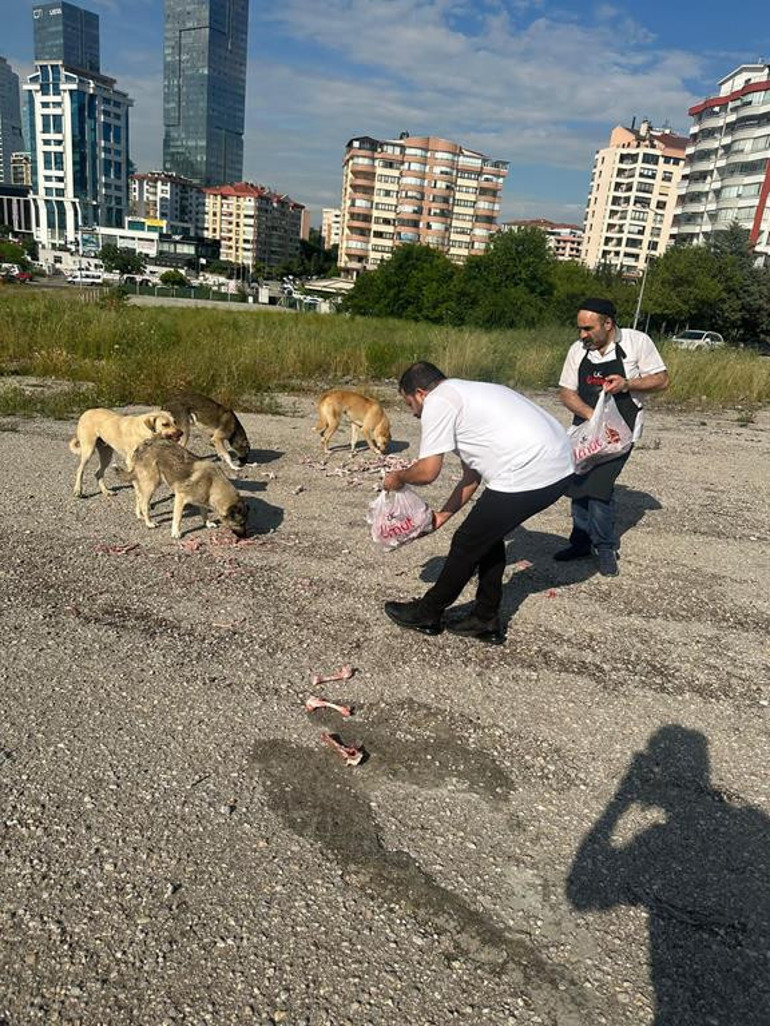 Yemek artıkları çöpe değil barınağa
