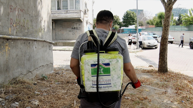 Dikkat çeken sivrisinek uyarısı: Ufacık bir saksıdaki su birikintisinden üreyecek sinekler bir mahalleye yeter