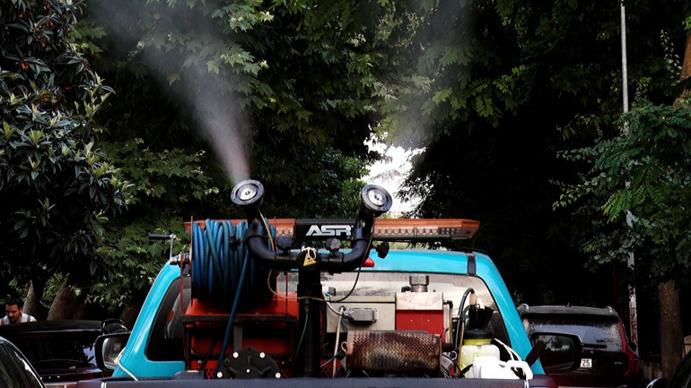 Dikkat çeken sivrisinek uyarısı: Ufacık bir saksıdaki su birikintisinden üreyecek sinekler bir mahalleye yeter