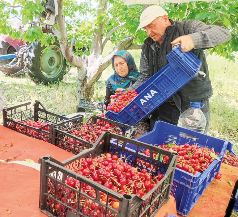 ‘Artık suya göre tarıma geçmekten başka şans yok’
