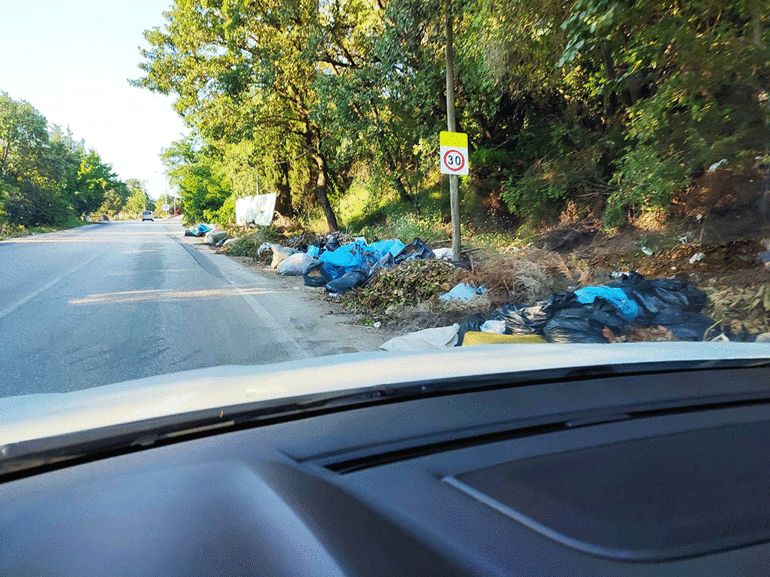 Bursa plakası ve Çöplükbey vakası