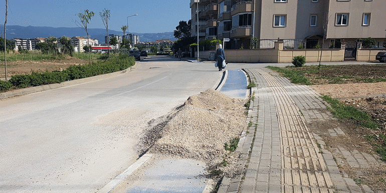Bursa plakası ve Çöplükbey vakası