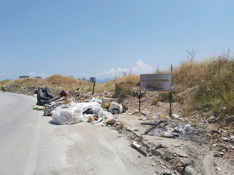 Bursa plakası ve Çöplükbey vakası