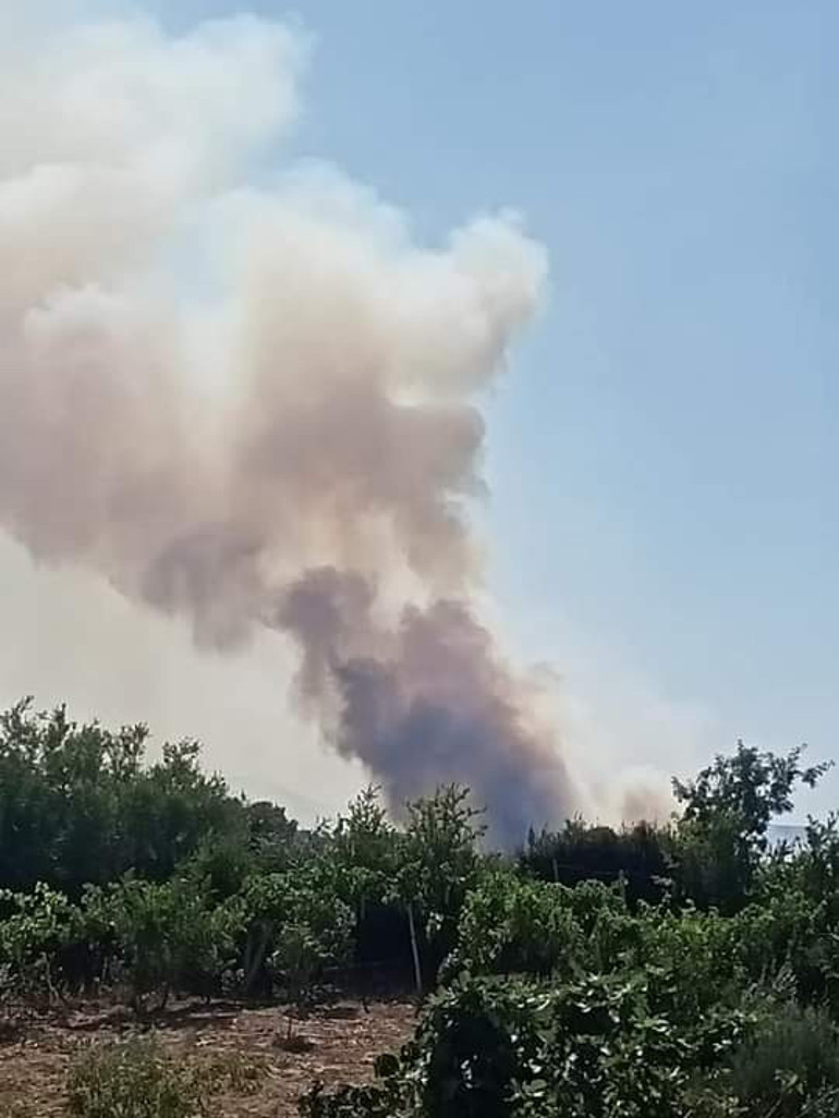 Adanana Karaisalı ve Kozanda orman yangını: Kontrol altına alındı