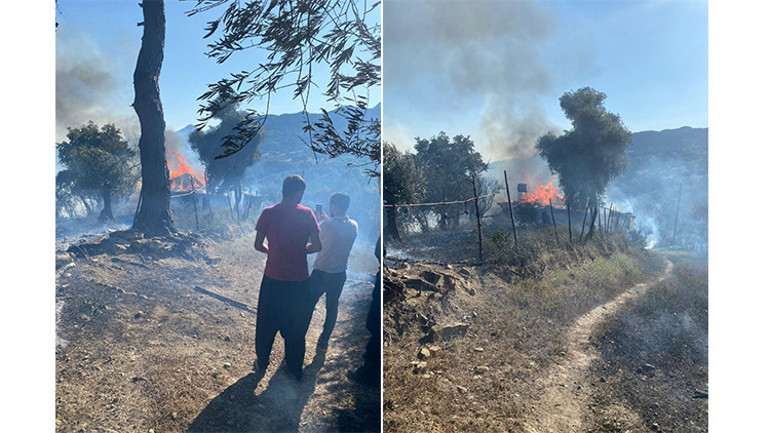 Adanana Karaisalı ve Kozanda orman yangını: Kontrol altına alındı