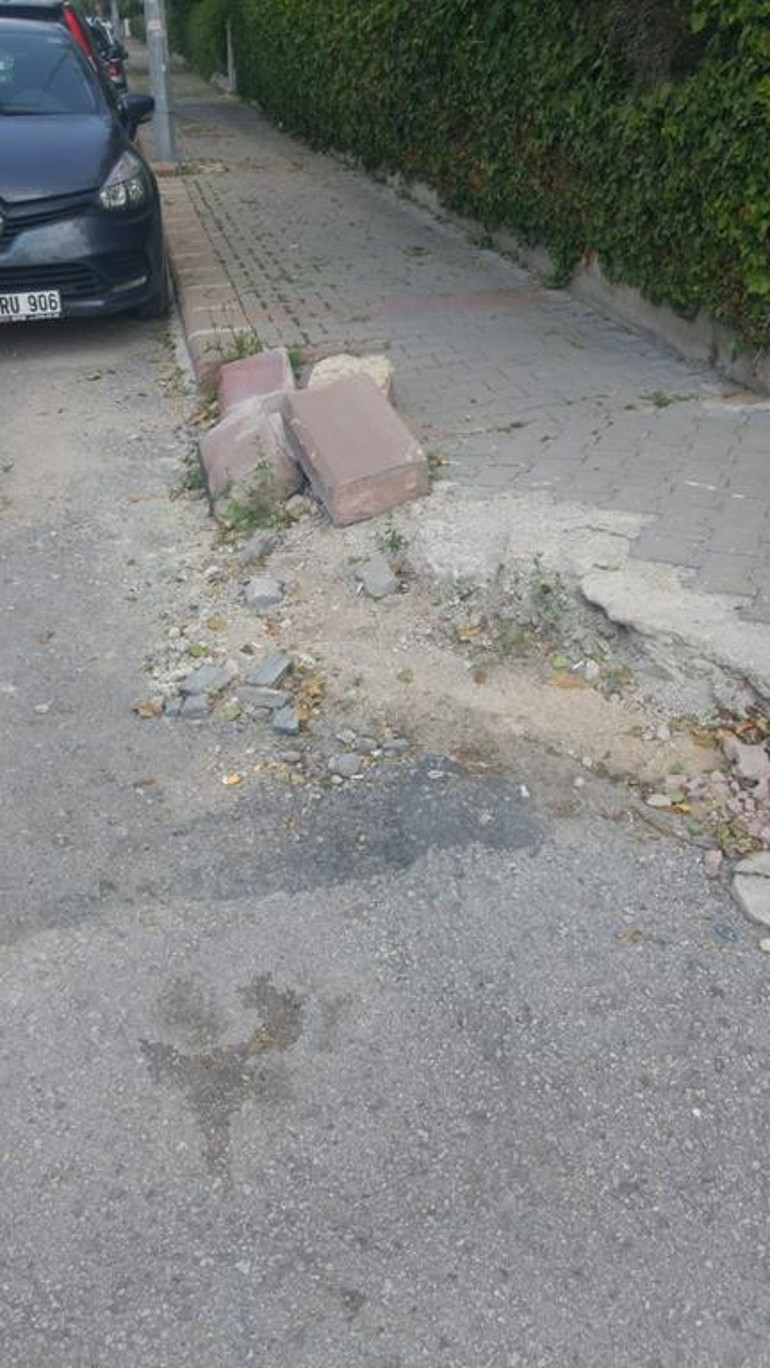 Kaderlerine terk edilmiş  trafik levhaları