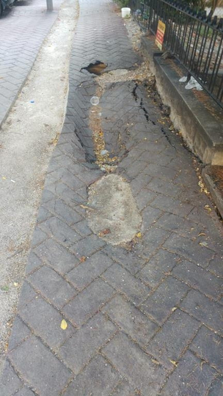 Kaderlerine terk edilmiş  trafik levhaları