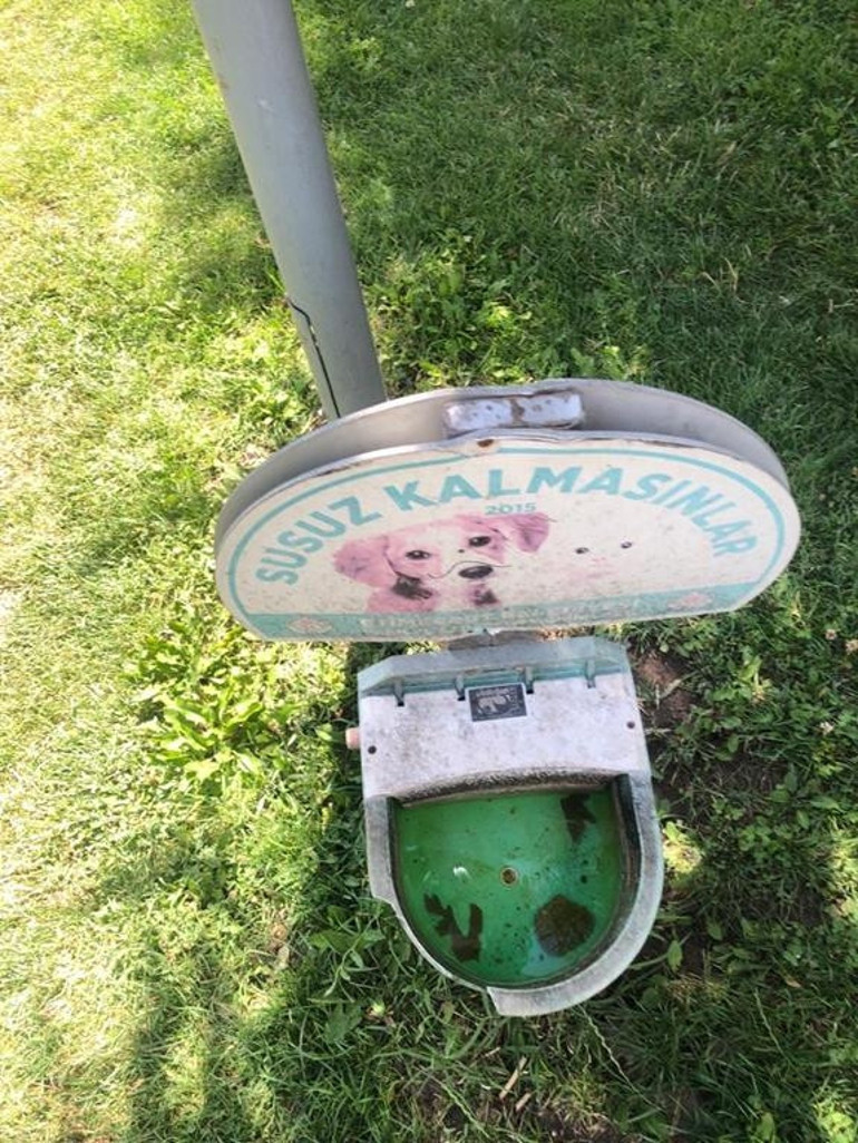Kaderlerine terk edilmiş  trafik levhaları