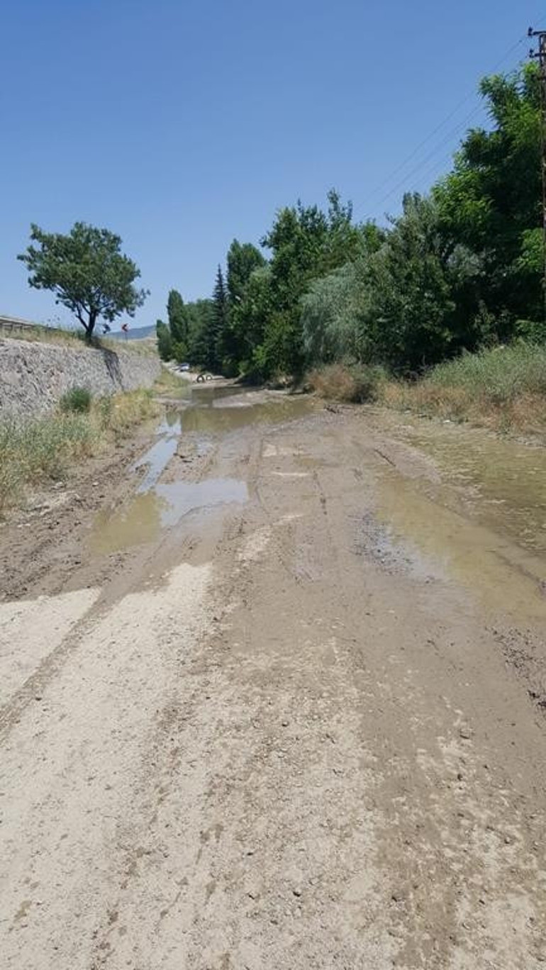 Kaderlerine terk edilmiş  trafik levhaları