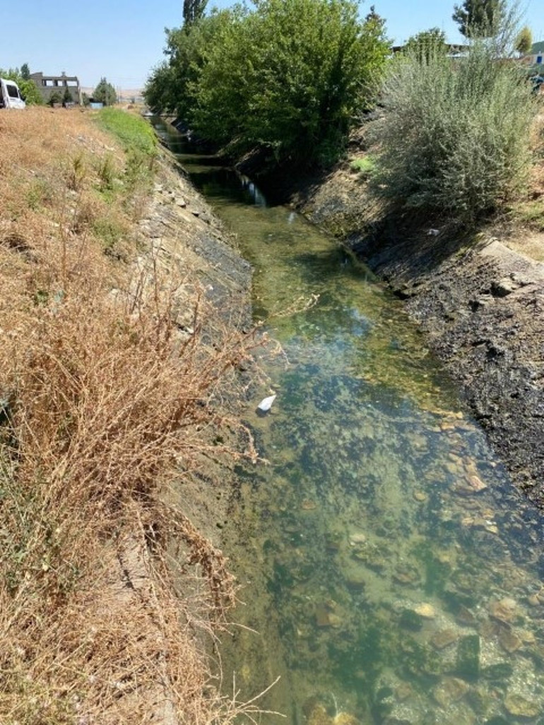 10 yaşındaki Beyza kayboldu, arama çalışması başlatıldı