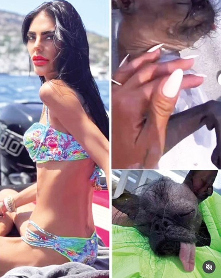 “Kimse gelmezse biz eğleniriz”