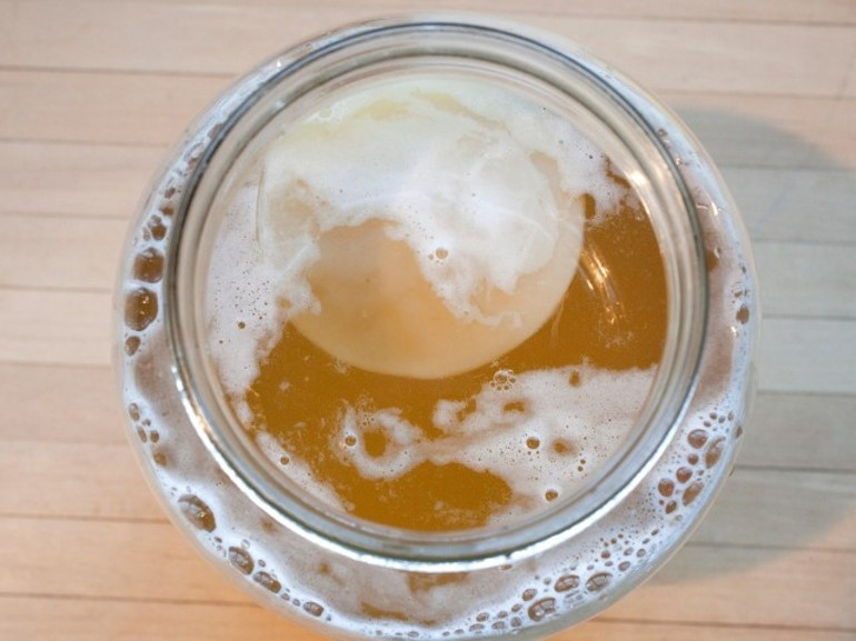 Kombucha gerçekten iddia edildiği gibi sağlıklı mı 11 soruda artıları ve eksileri ile kombu çayı dosyası…