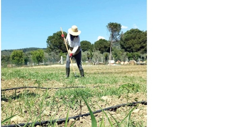 Akademisyenliği bırakıp çiftçi oldu tasarımın yerini onarıcı tarım aldı