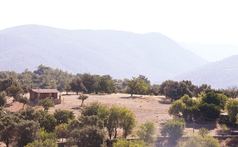 Her şeyi ardında bırakıp İstanbulu terk etmişti... Özlem Tekin, çiftliğin kapısına kilit vurdu