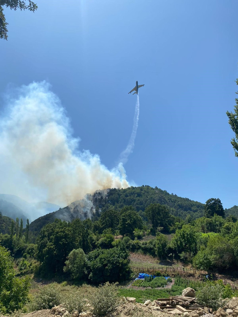 Manisa ve Balıkesirde orman yangını: Havadan ve karadan müdahale ediliyor
