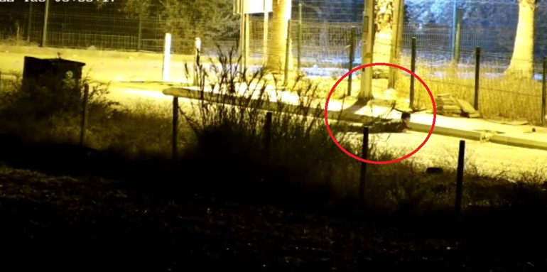 Polisevi saldırısında istenen ceza belli oldu Bekçinin sözleri mahkemeye damga vurdu