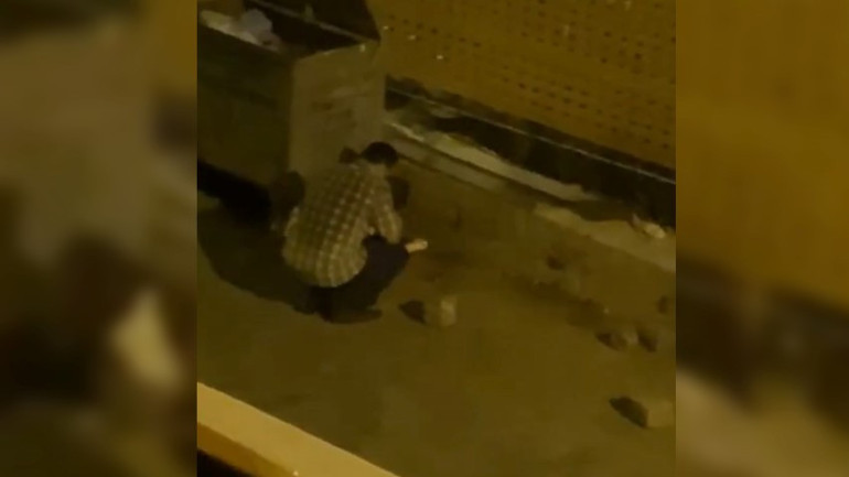 Yavru kedileri ezerek öldürdü, röportaj sırasında olay yerine geldi