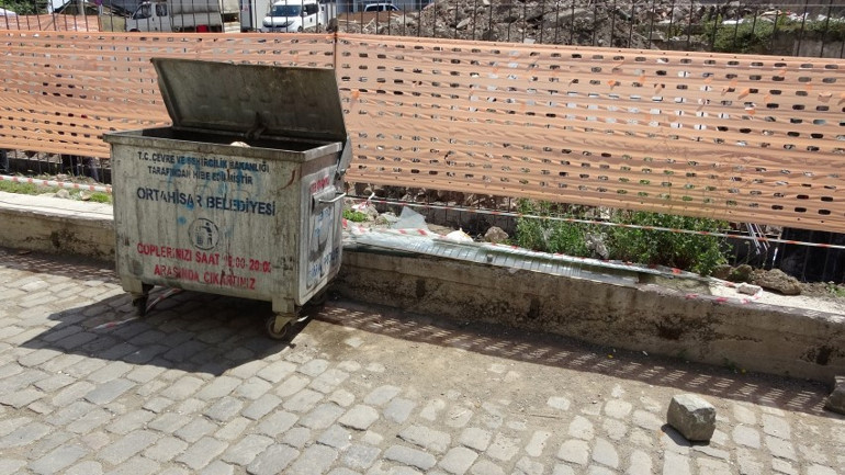 Yavru kedileri ezerek öldürdü, röportaj sırasında olay yerine geldi