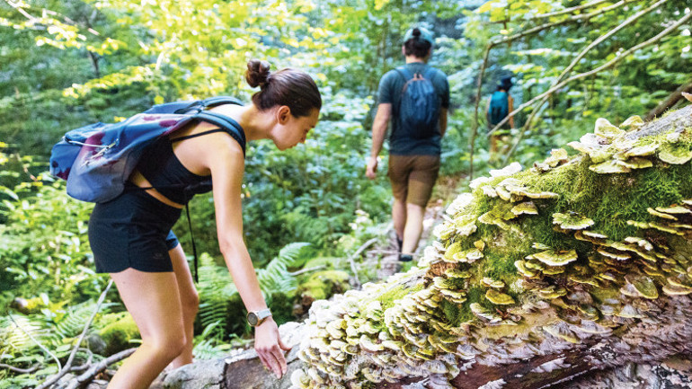 ‘Karadeniz, sana yine geleceğiz’