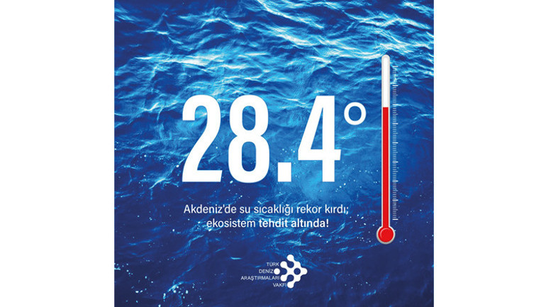 Deniz yaşamı alarm veriyor Akdeniz’de su sıcaklığı rekor kırdı
