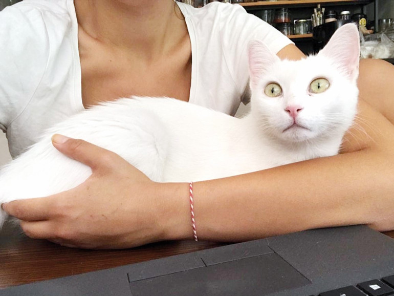 Acıya dayanmayı, sabırlı olmayı, mesafe koymayı...