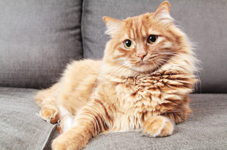 Acıya dayanmayı, sabırlı olmayı, mesafe koymayı...