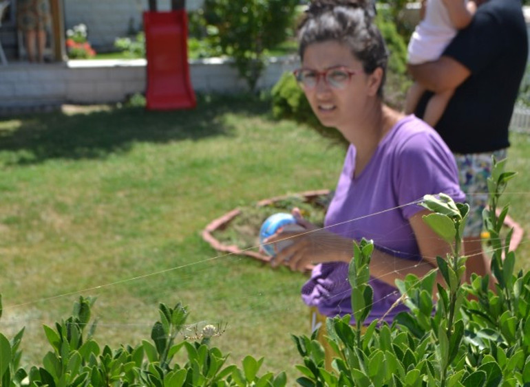 Site bahçesinde yakaladı Çok tehlikeli bir tür: İnsanı öldürebiliyor