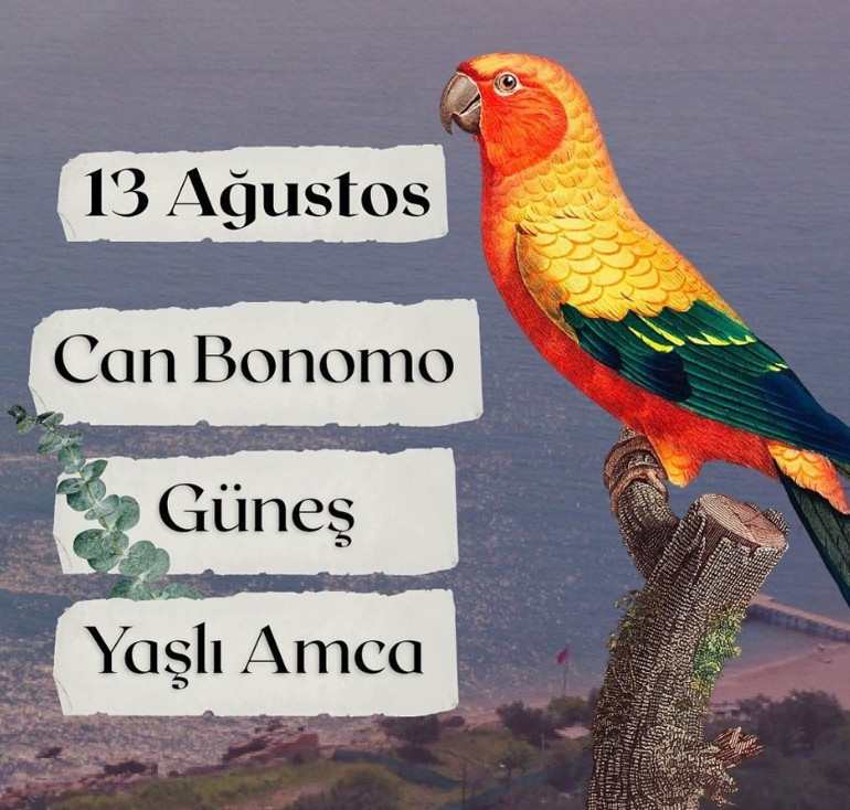 Dünyanın yıldızı ülkemizde