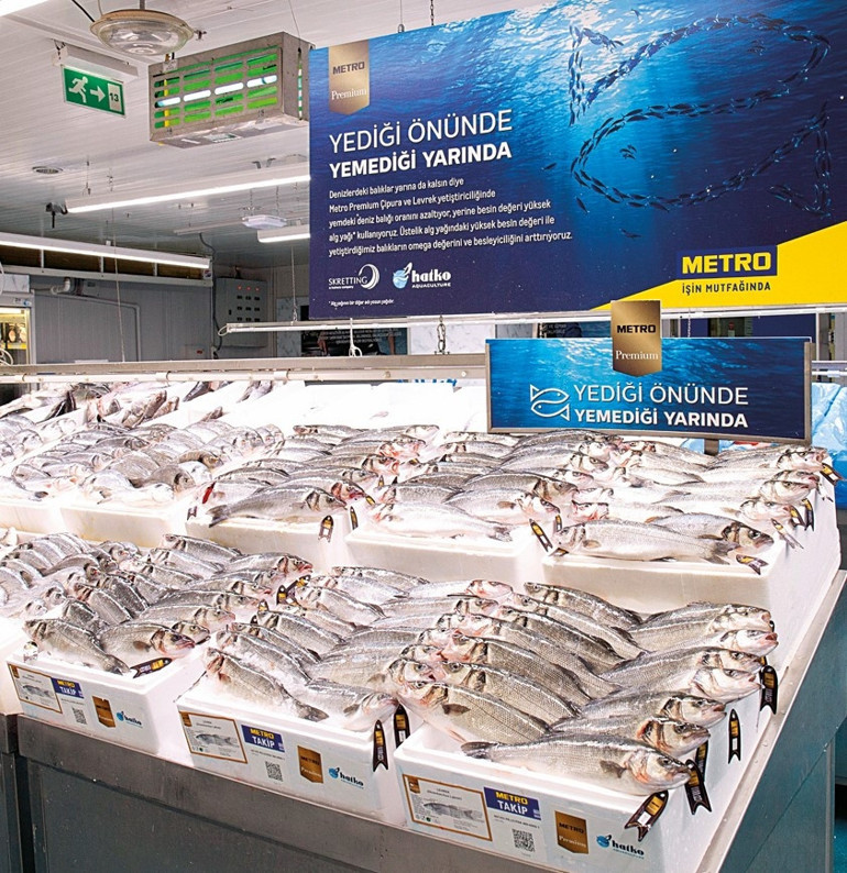 Balıklarla sağlıklı yaz sofraları kuralım