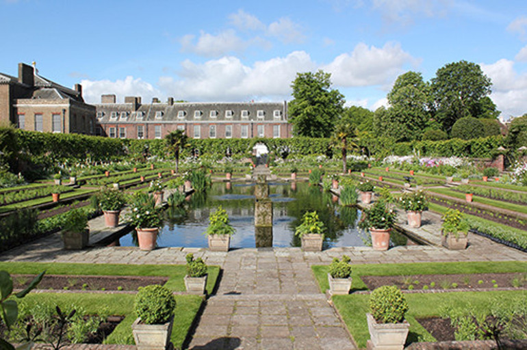 Yüzüğün yerinde yeller esiyor: Beğenmeyip kaçtıkları yere kiracı olarak dönmeye razılar
