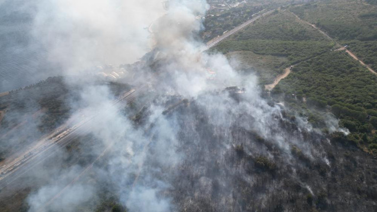 Kocaelindeki TÜBİTAK yerleşkesindeki orman yangını kontrol altına alındı