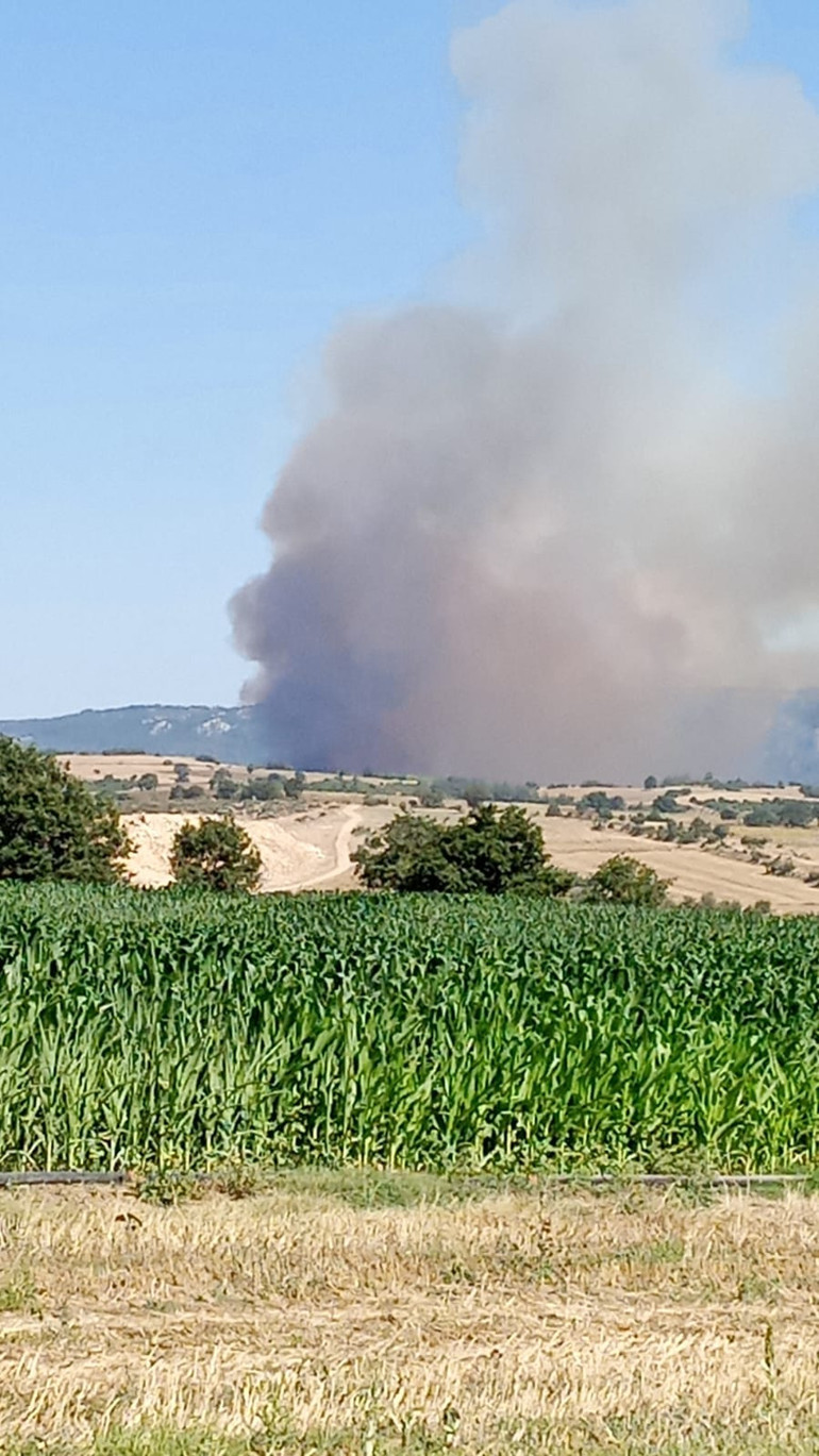 Son dakika... Çanakkalede orman yangını: Bakan Yumaklı son durumu açıkladı... Yangının başlama görüntüsü ortaya çıktı