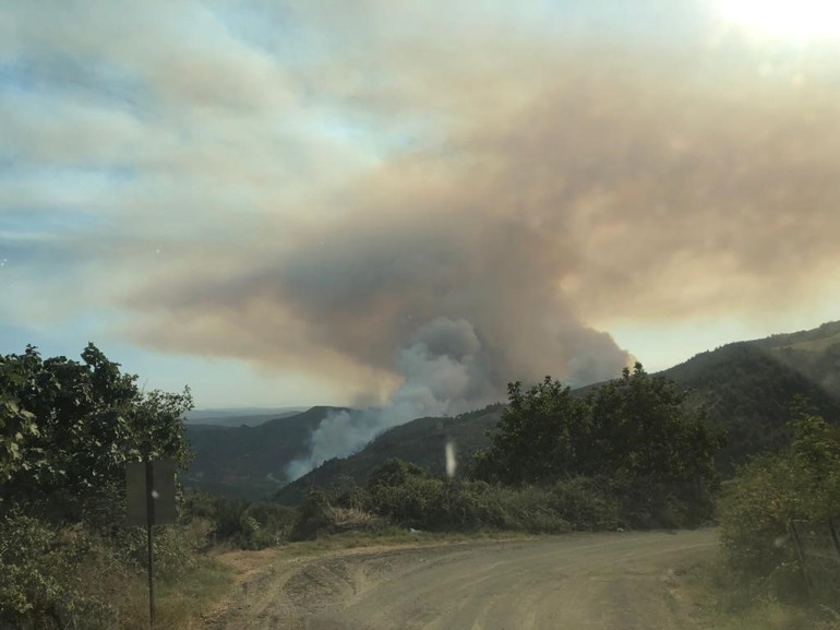 Son dakika... Çanakkalede orman yangını: Bakan Yumaklı son durumu açıkladı... Yangının başlama görüntüsü ortaya çıktı