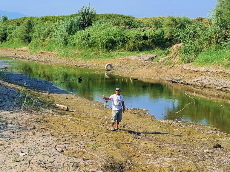 Büyük Menderes Nehrini kuraklık vurdu: Balıklar ölüyor