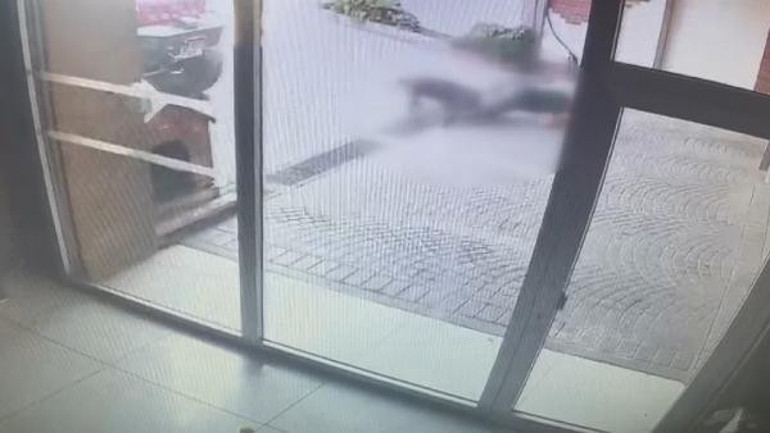 İstanbulda pitbull dehşeti Sahipleri yakalandı: İşte cezaları