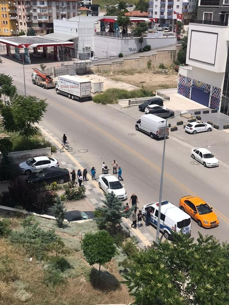 Çiğdem’in korkusu sokak köpekleri