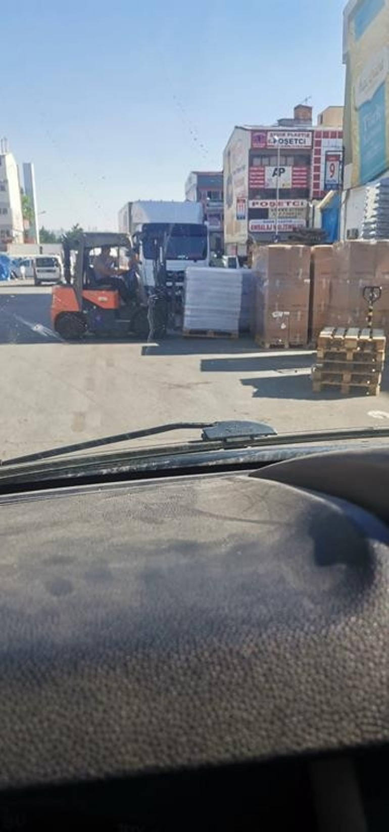 Çiğdem’in korkusu sokak köpekleri