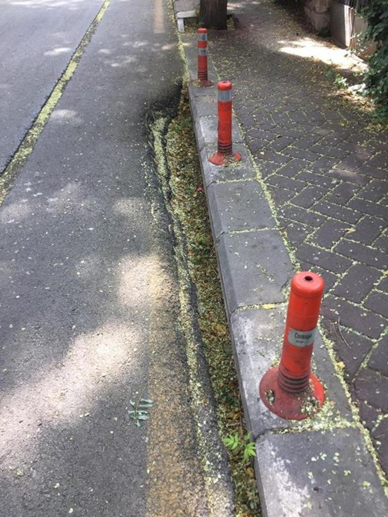 Çiğdem’in korkusu sokak köpekleri