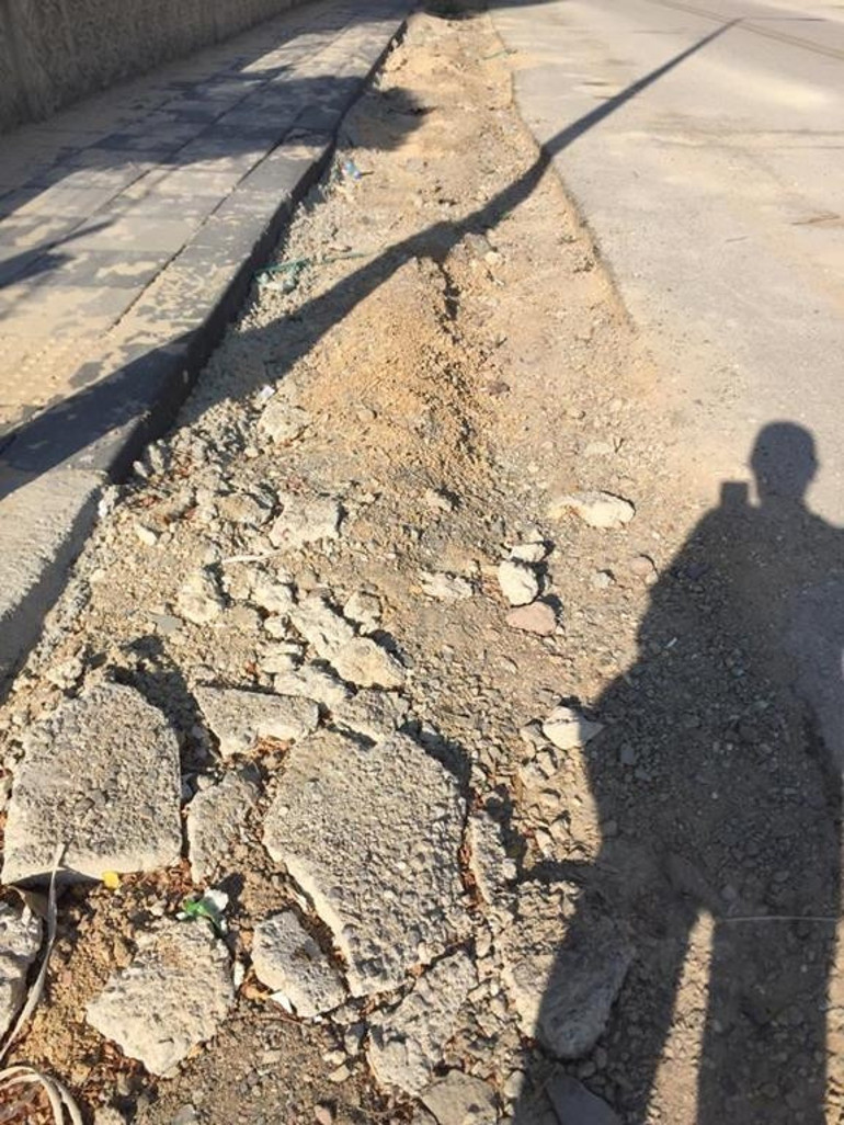 Çiğdem’in korkusu sokak köpekleri