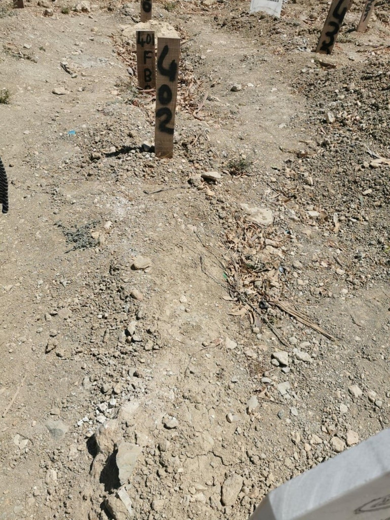 Savaştan kaçıp depreme Rönesans rezidansta yakalandılar... Zakhardan 6 ay sonra acı haber