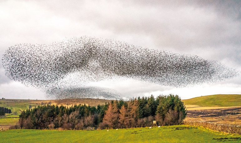 Tam bu mevsimde görmeli