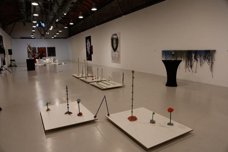 Dolomit kültürü Ankara’da