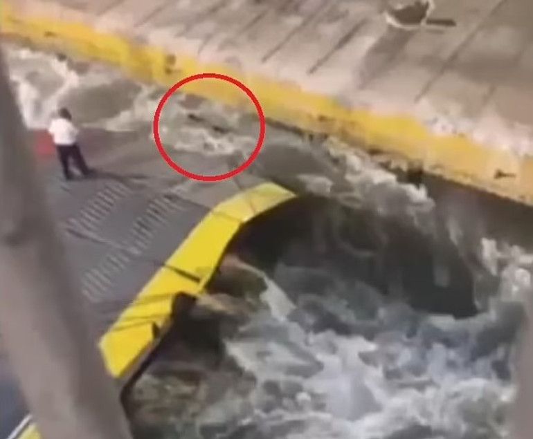 Komşuyu ayağa kaldıran görüntüler: Geç kalan adamı feribottan aşağı attılar Sosyal medyada öfke: Bu bir cinayet...