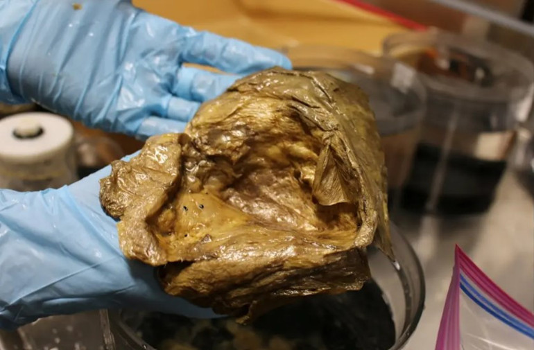 Denizin altında bulunan gizemli küre araştırmacıları şoke etti: Bu bir korku filminin başlangıcı gibi