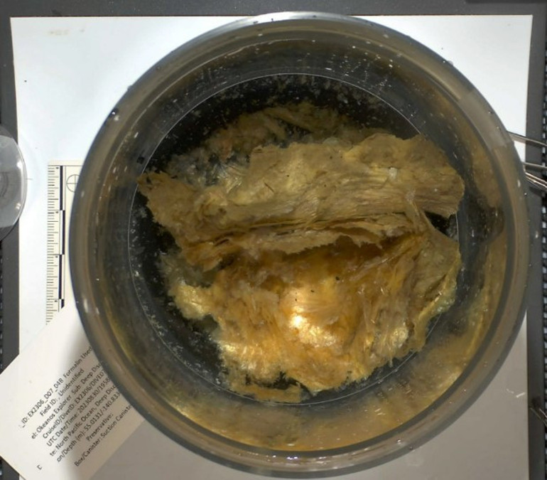 Denizin altında bulunan gizemli küre araştırmacıları şoke etti: Bu bir korku filminin başlangıcı gibi