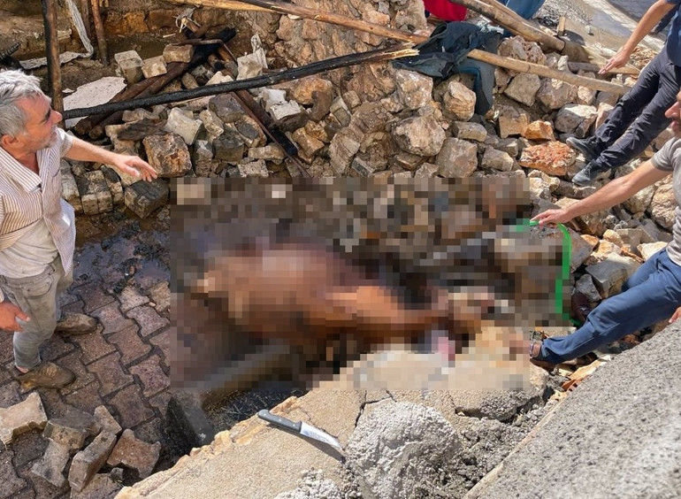 Ahırda yangın çıktı... Hayvanları kurtarmak isterken az kalsın canından oluyordu